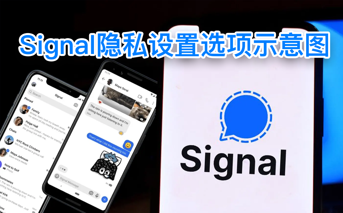 Signal隐私设置选项示意图